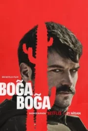 Boğa Boğa